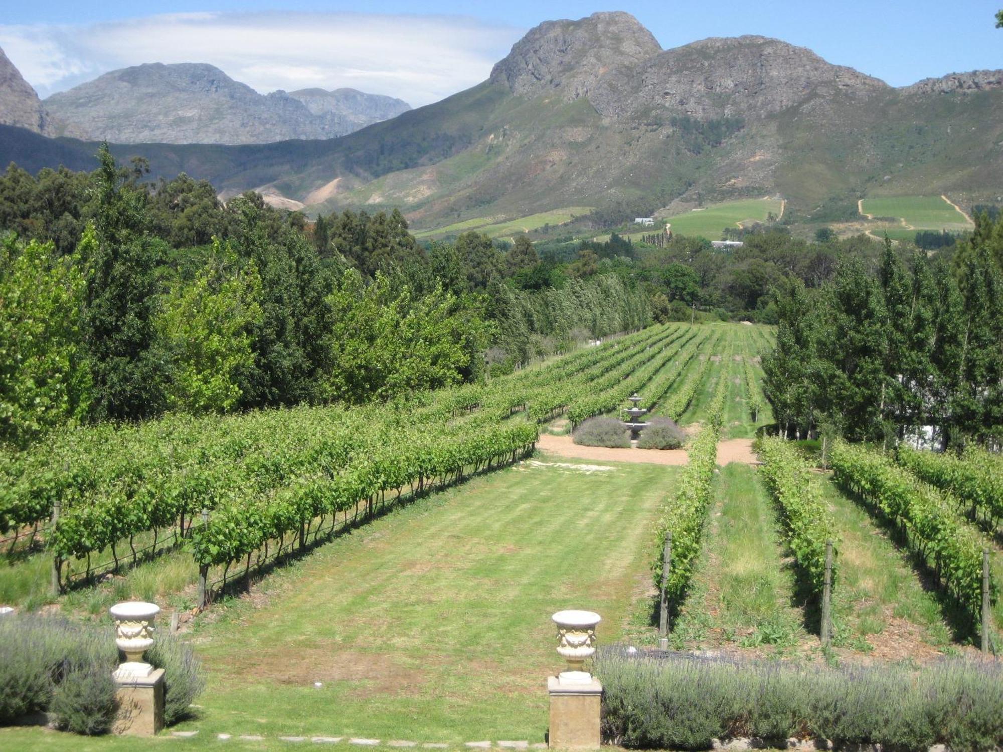 Franschhoek Rose Cottages Exterior foto
